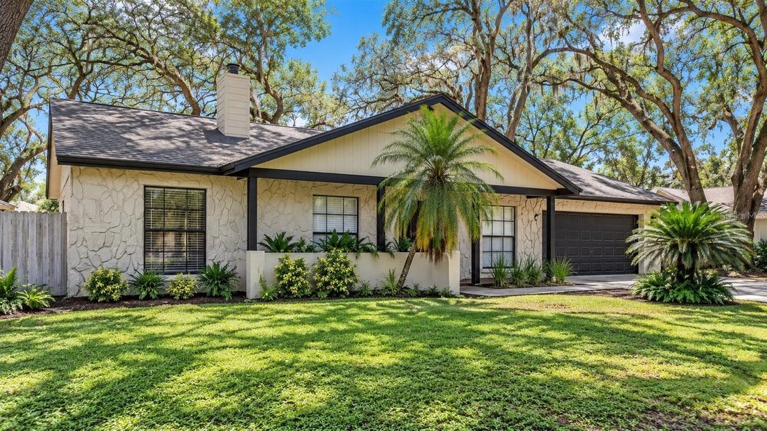 House in Brandon, Florida, United States 3 - 18909161