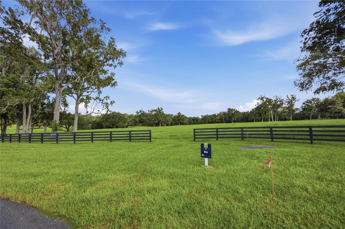 House in Ocala, Florida, United States 5 - 18909046