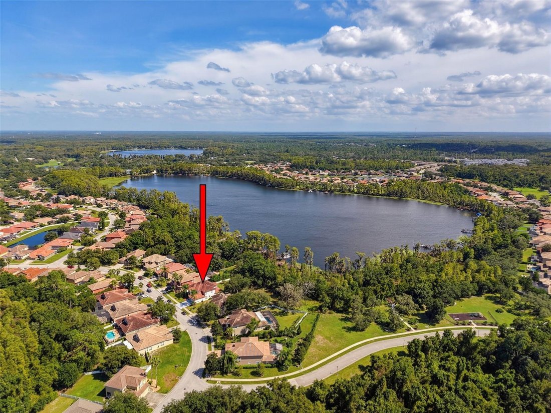 House in New Port Richey, Florida, United States 4 - 18905962
