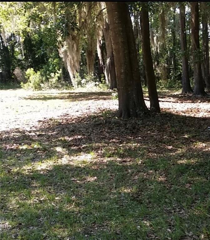 Land in Richmond Hill, Georgia, United States 2 - 18827033