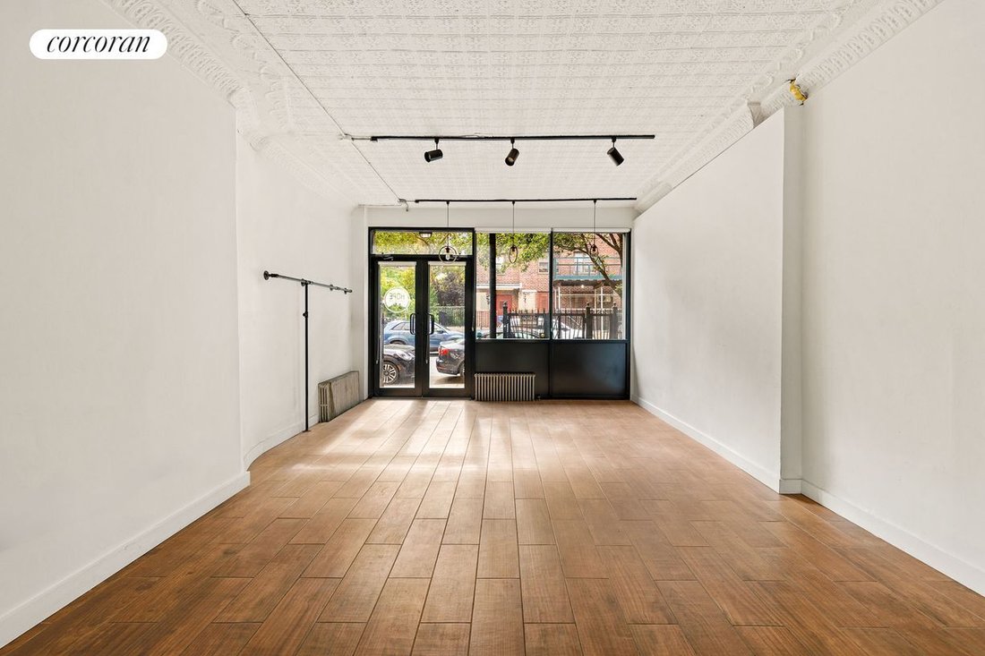 House in New York, New York, United States 5 - 18916314
