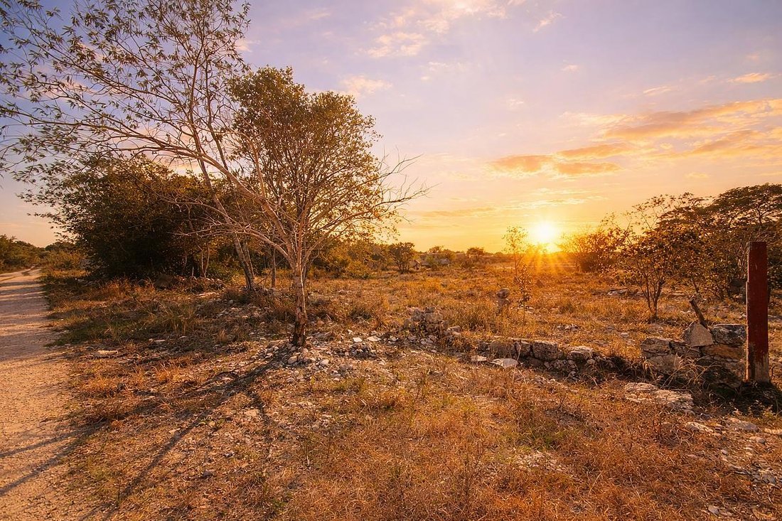 Land in Temozón Norte, Yucatan, Mexico 1 - 18908434