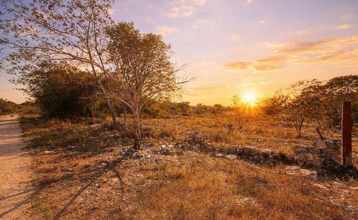 Terreno a Temozón Norte, Yucatán, Messico 1