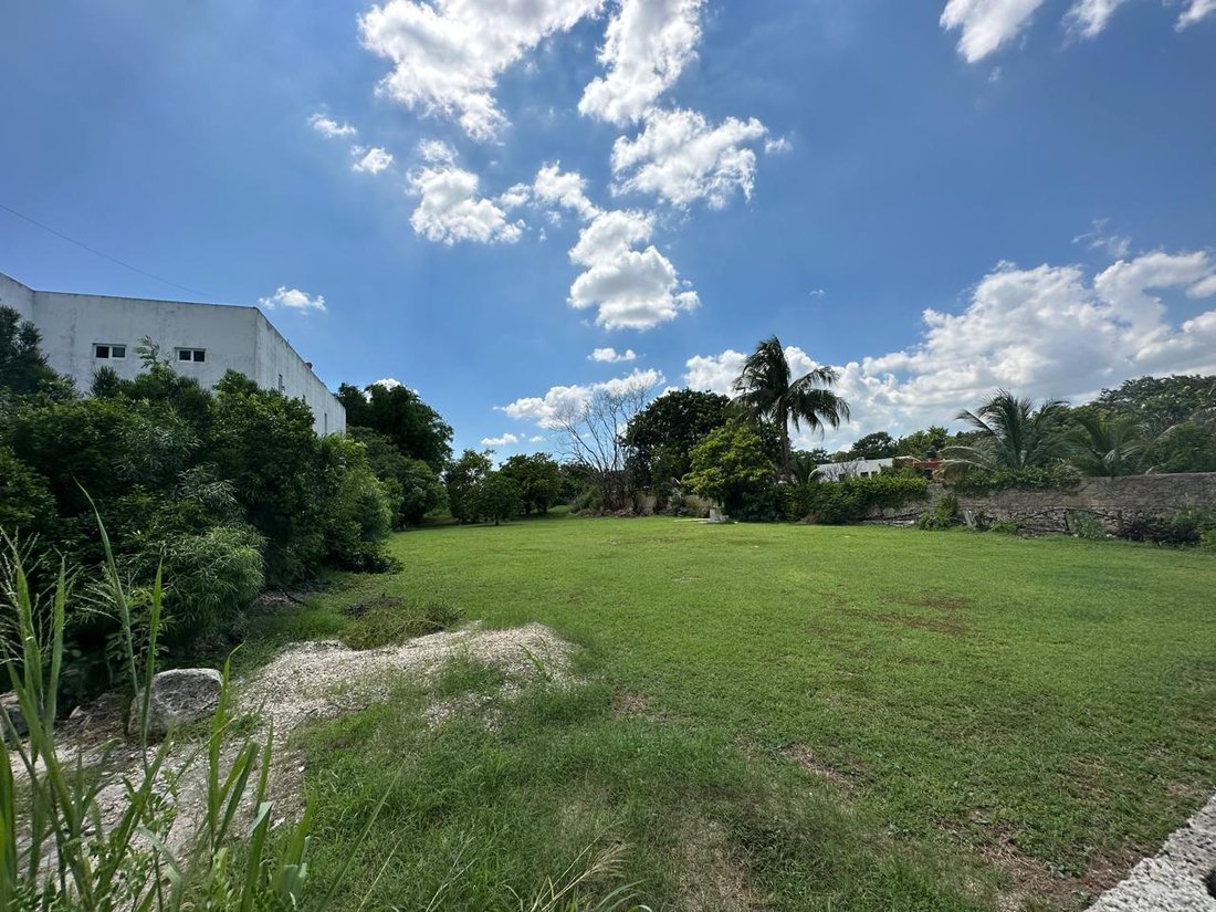 Land in Cholul, Yucatan, Mexico 5 - 18908474