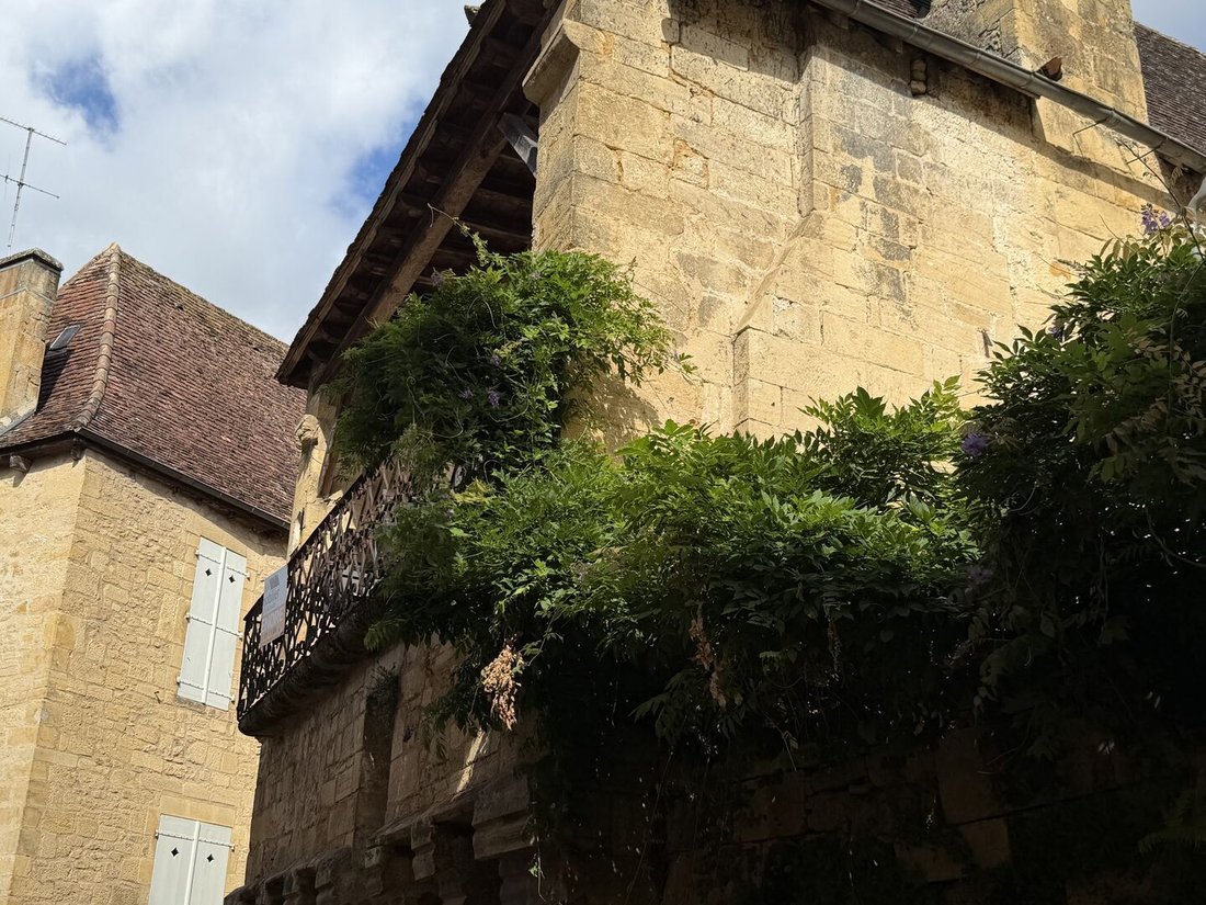 House in Temniac, Sarlat-la-Canéda, France 3 - 18906712