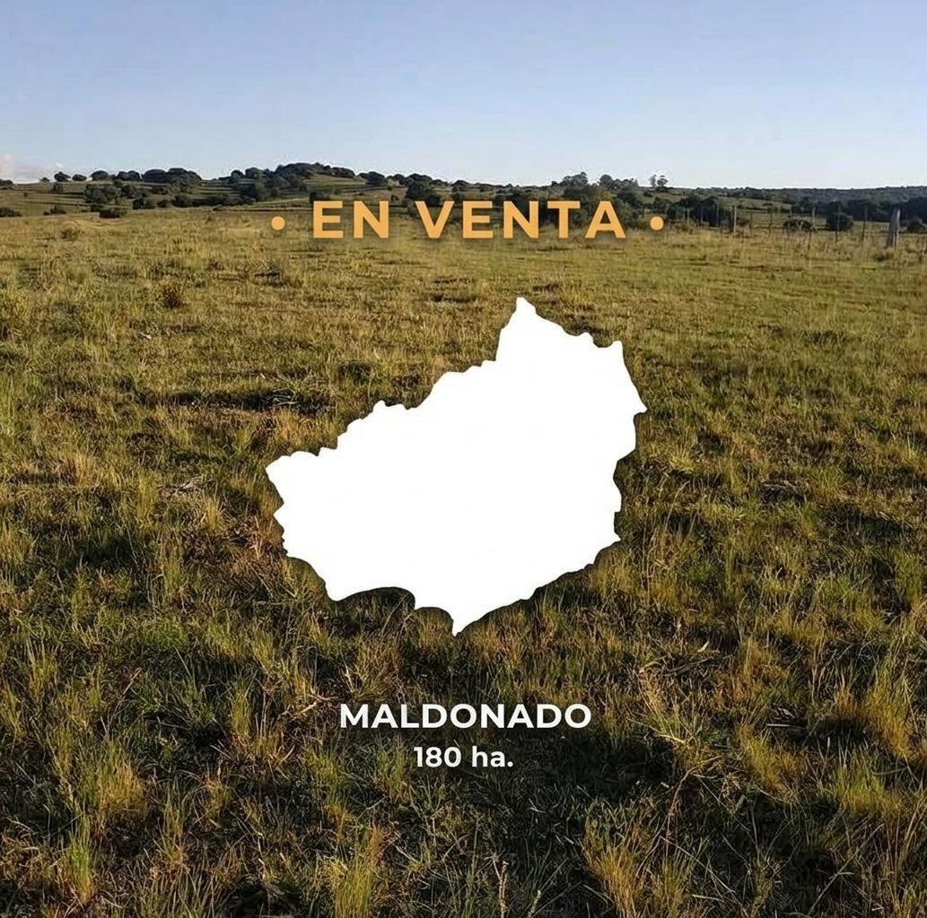 Farm Ranch in San Carlos, Maldonado Department, Uruguay 1 - 18909910