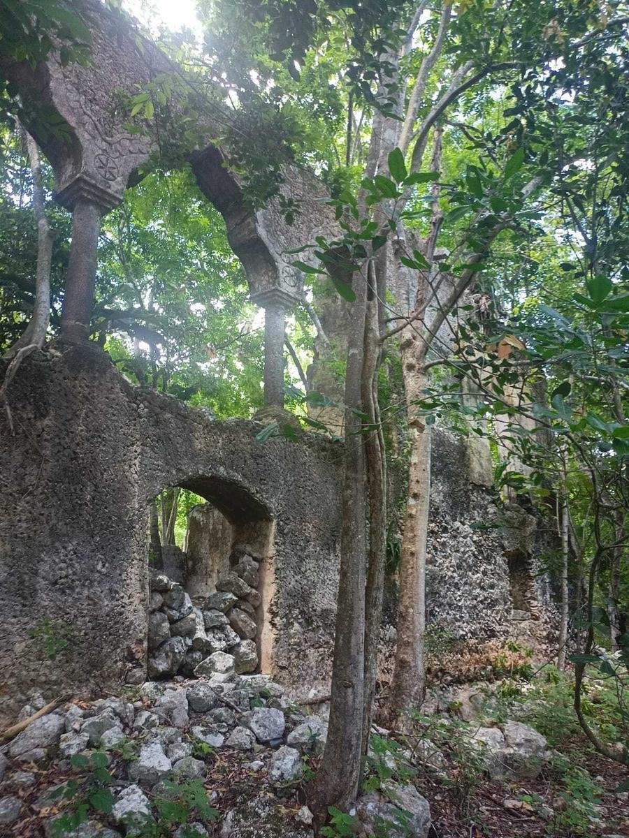 Estate in Chemax, Yucatan, Mexico 1 - 18908425