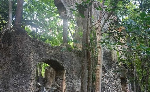 Estate in Chemax, Yucatan, Mexico 1