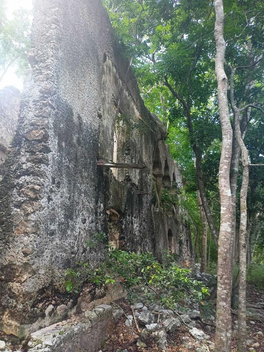 Estate in Chemax, Yucatan, Mexico 5 - 18908425