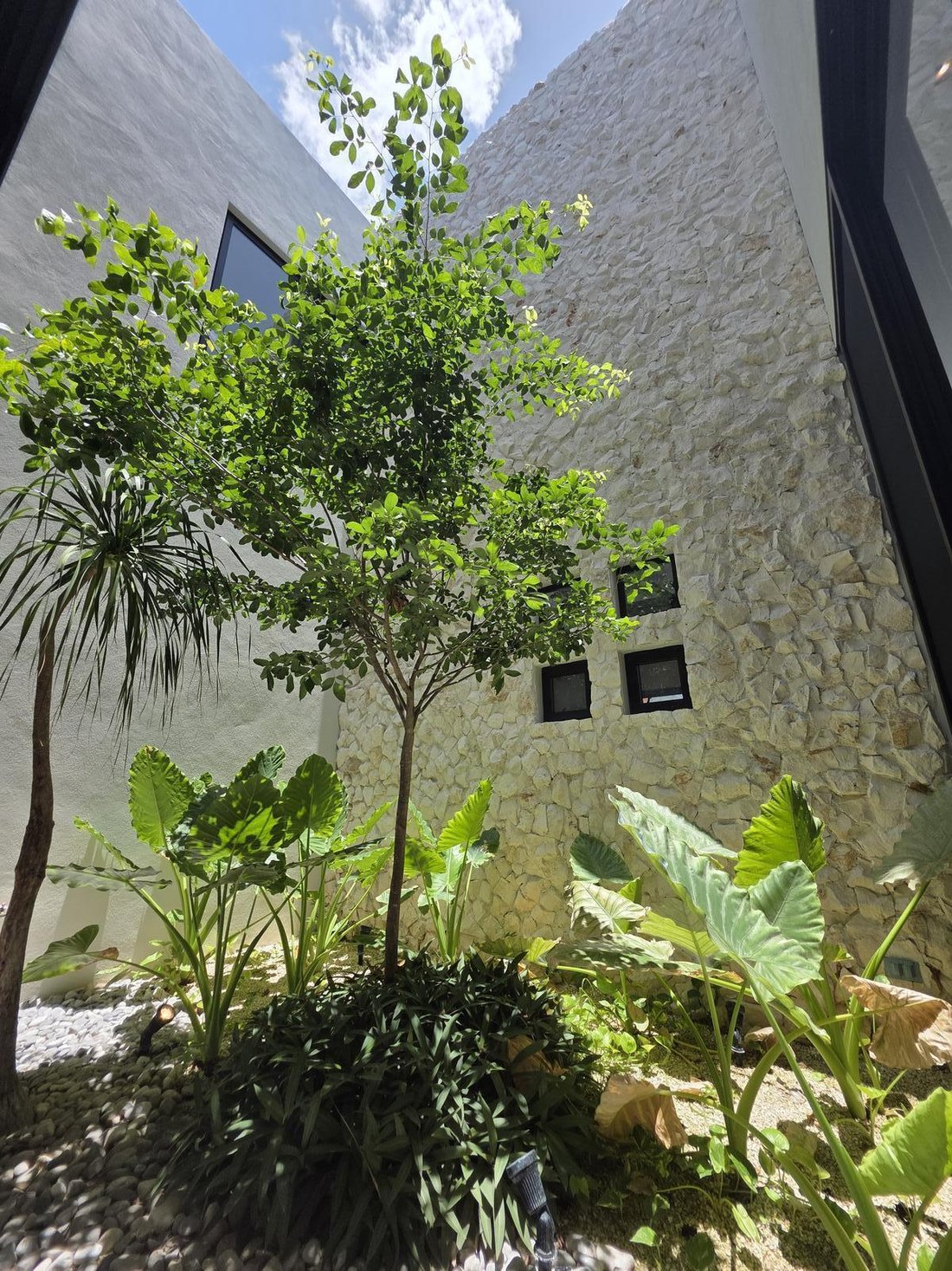Maison à Yucatán Country Club, Yucatán, Mexique 4 - 18908421