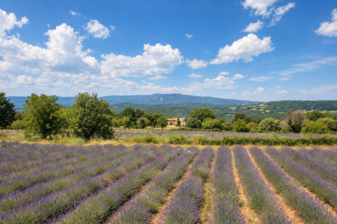 Villa in Saignon, Provence-Alpes-Côte d'Azur, Frankreich 1 - 15960659
