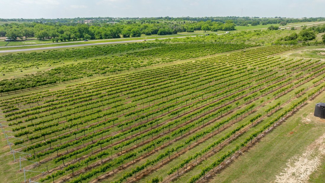 Terrain à Dublin, Texas, États-Unis 3 - 18909821