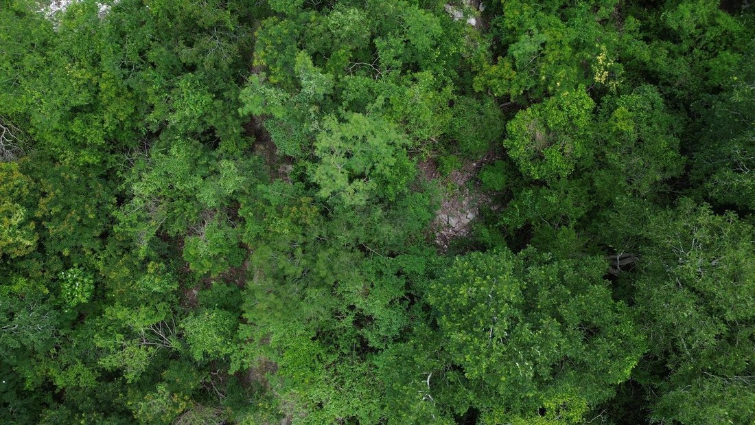 Terrain à Dzidzilché, Yucatán, Mexique 4 - 18908454