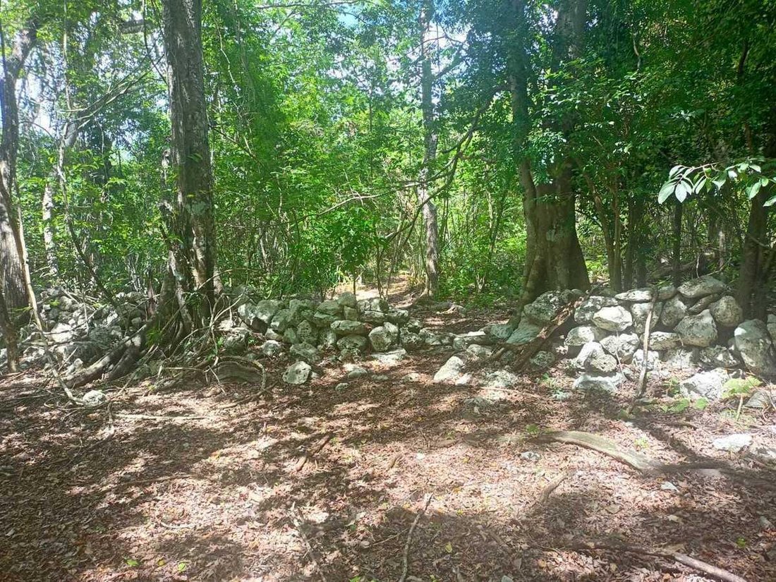 Estate in Chemax, Yucatan, Mexico 3 - 18908425