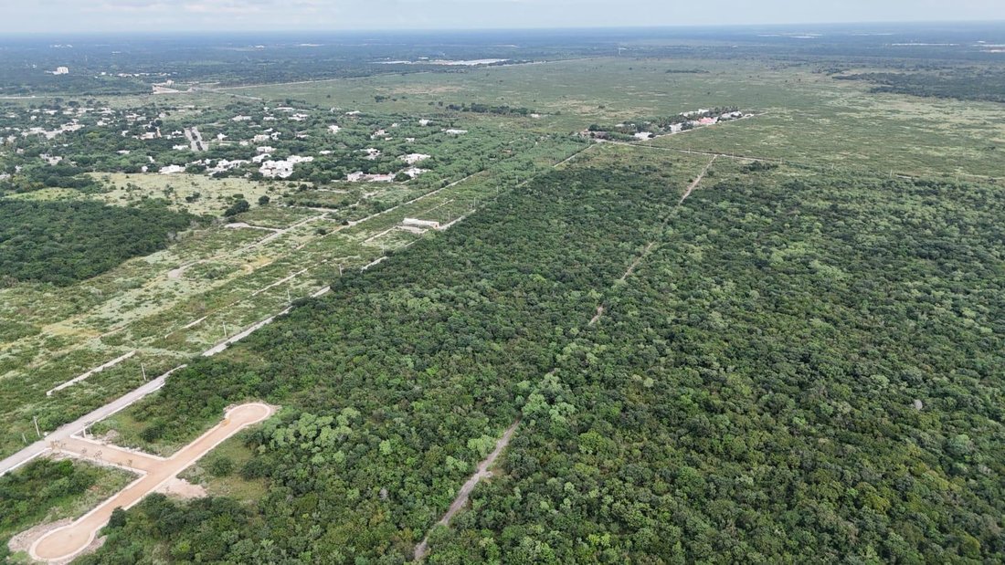 Terrain à Conkal, Yucatán, Mexique 4 - 18908472