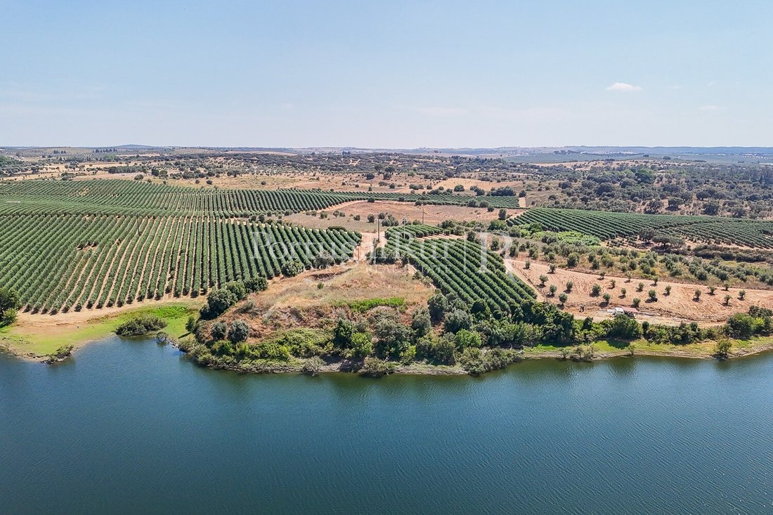 Land in Avis, Portalegre District, Portugal 2 - 18683522