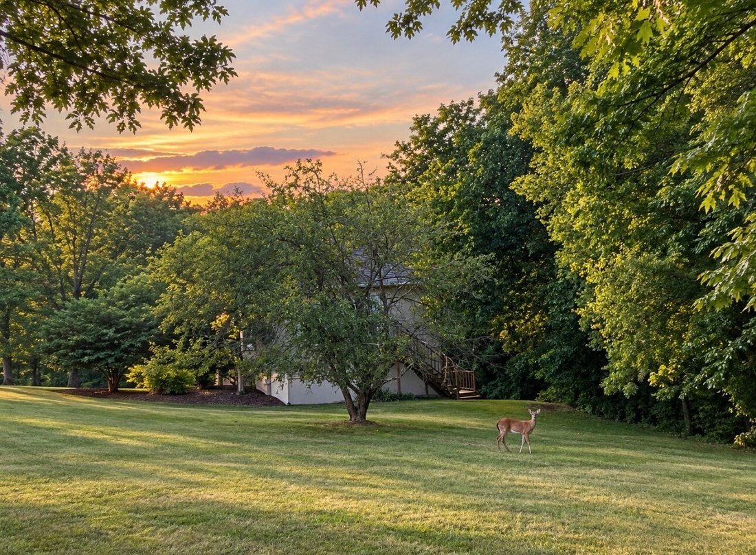House in Columbia, Tennessee, United States 4 - 18682676