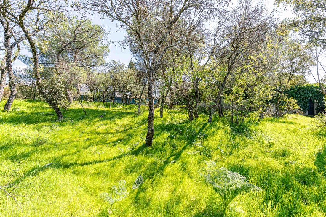 Terreno en Torrelodones, Comunidad de Madrid, España 5 - 18911128