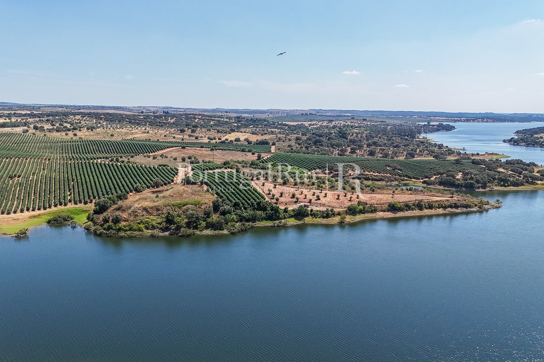 Land in Avis, Portalegre District, Portugal 1 - 18683522