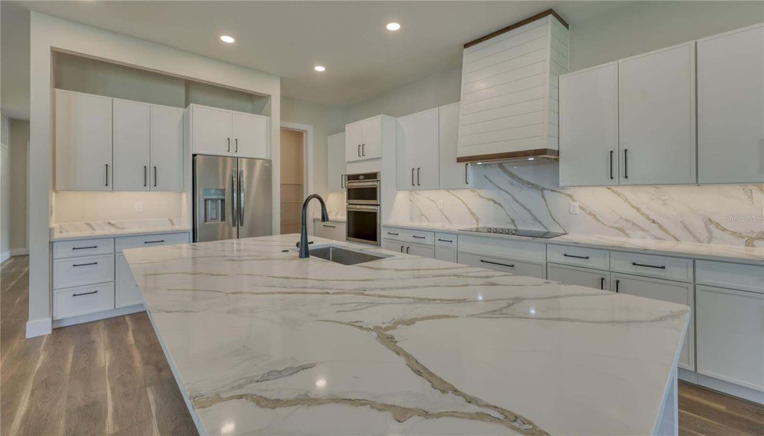 House in Palm Harbor, Florida, United States 4 - 18909054
