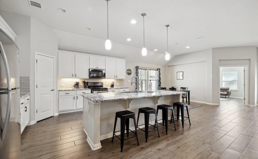 House in Pflugerville, Texas, United States 1