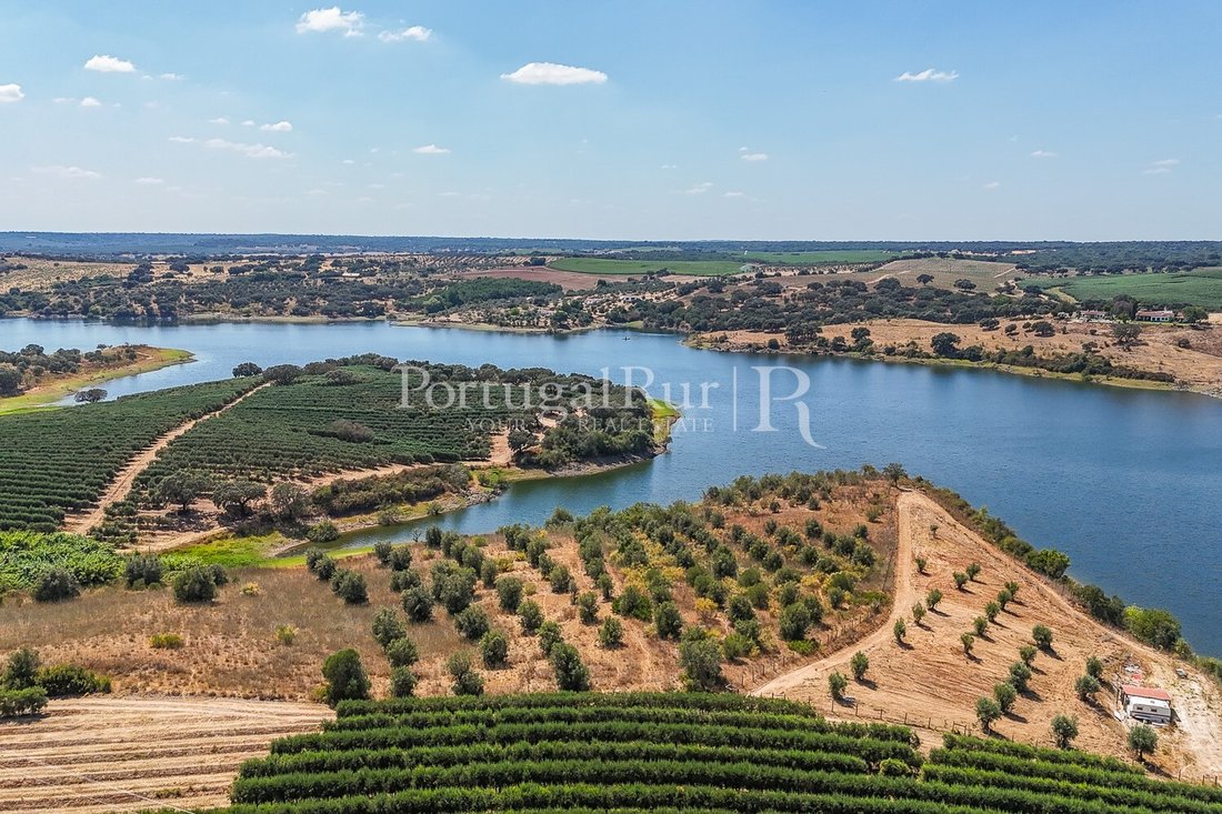 Land in Avis, Portalegre District, Portugal 3 - 18683522