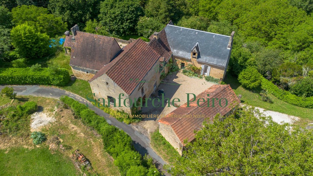 Haus in Temniac, Sarlat-la-Canéda, Frankreich 1 - 18208440