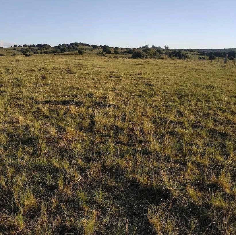Farm Ranch in San Carlos, Maldonado Department, Uruguay 2 - 18909910