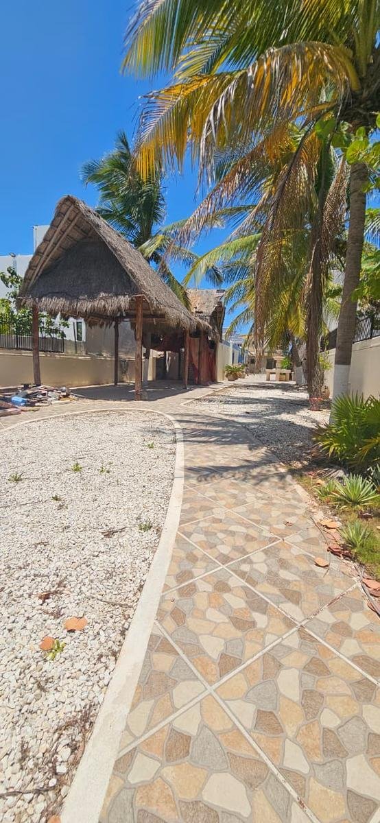 House in Progreso, Yucatan, Mexico 5 - 18908424