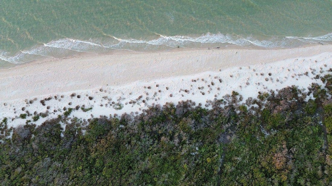 Land in Sisal, Yucatan, Mexico 4 - 18908436