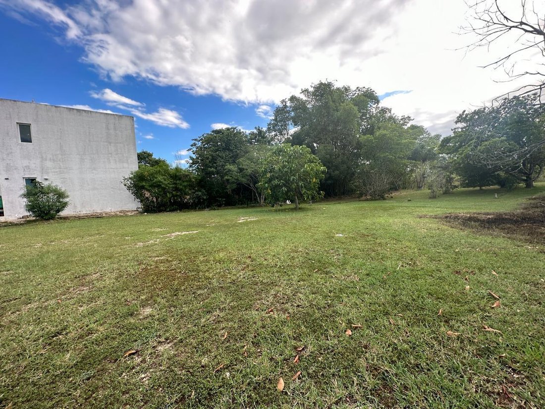 Land in Cholul, Yucatan, Mexico 1 - 18908474