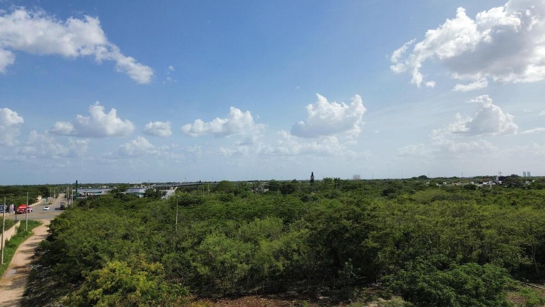 Terrain à Conkal, Yucatán, Mexique 3 - 18908453
