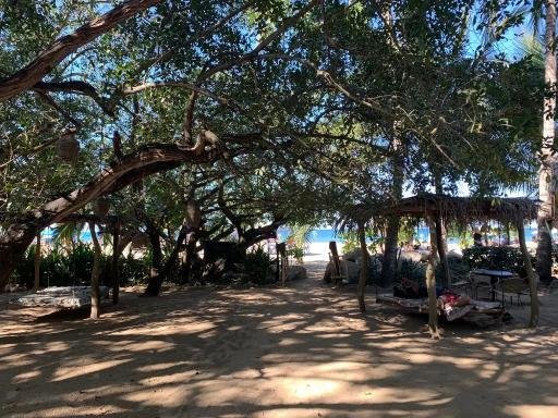 Terreno en Sayulita, Nayarit, México 4 - 18907960
