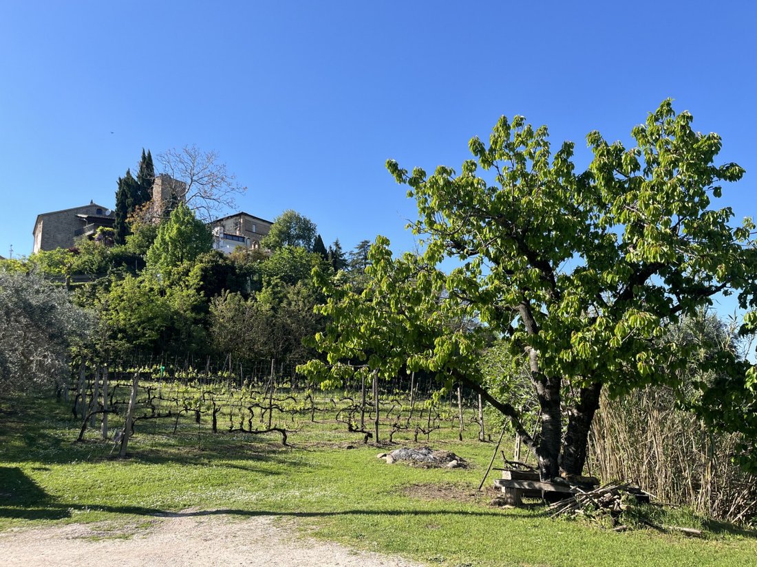 Villa in Roncofreddo, Emilia-Romagna, Italy 1 - 18911576