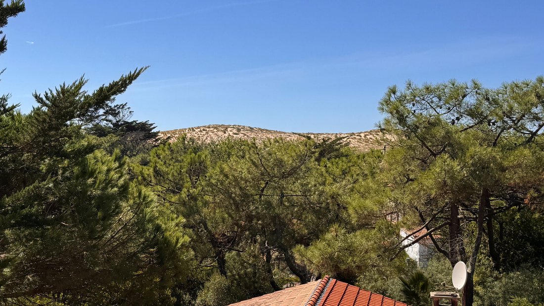 Villa à 33970 Le Cap-Ferret, Lège-Cap-Ferret, Nouvelle-Aquitaine 1 - 18908089