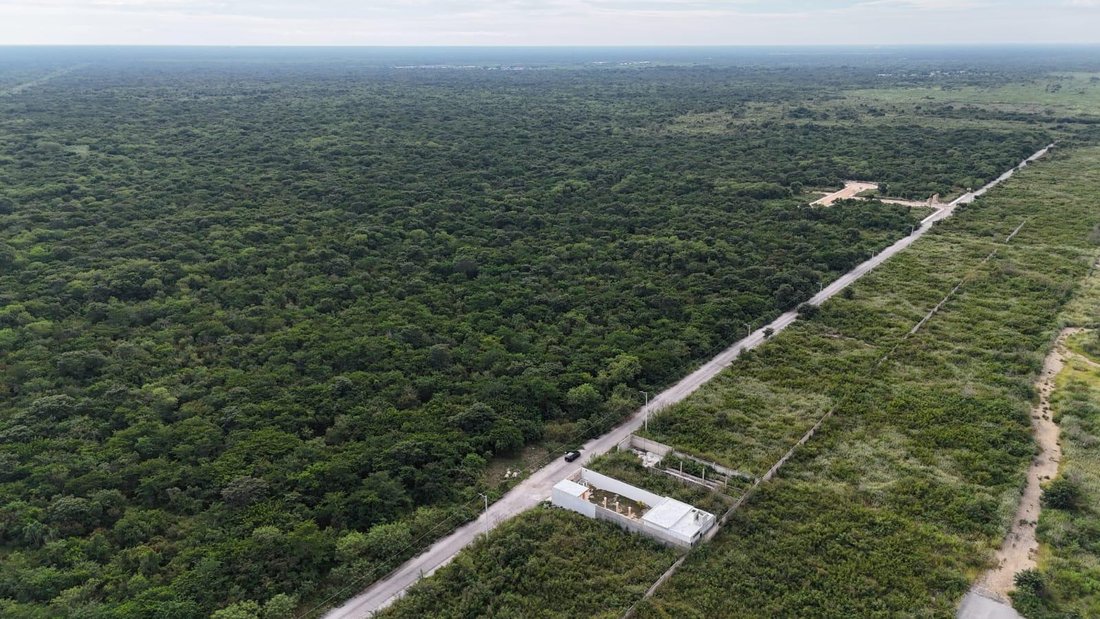 Terrain à Conkal, Yucatán, Mexique 2 - 18908472