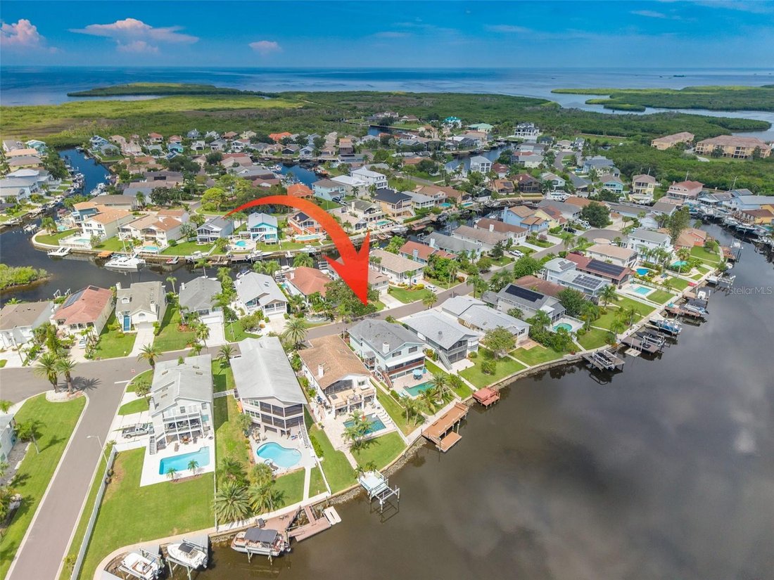 House in New Port Richey, Florida, United States 4 - 18915326