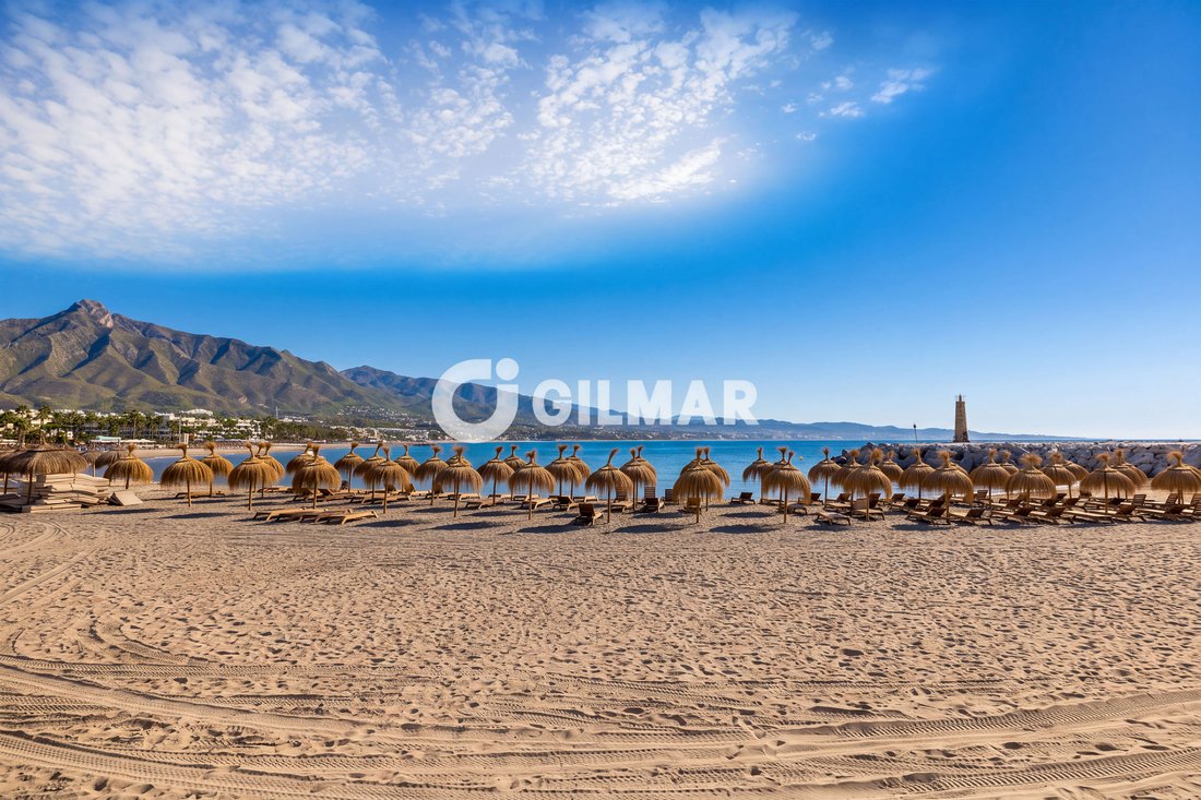 Apartment in Spain 3 - 18905560