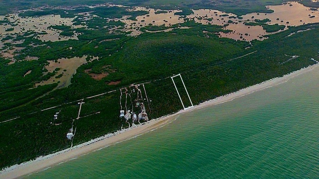 Land in Sisal, Yucatan, Mexico 3 - 18908436