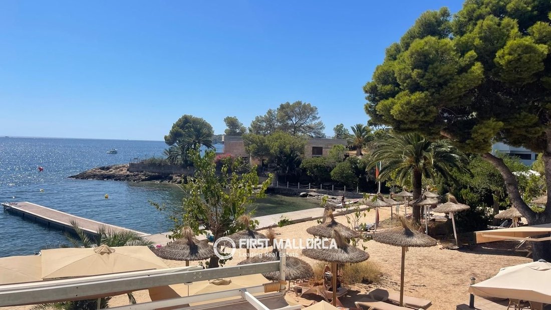 Apartment in Sol de Mallorca, Calvia, Balearic Islands 1 - 18907702