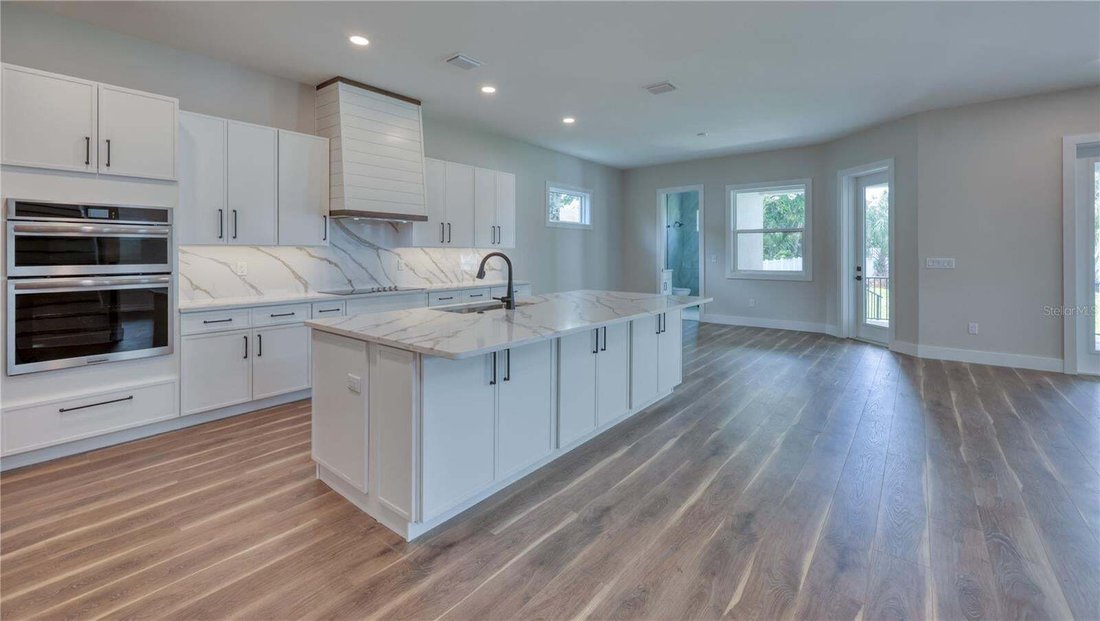 House in Palm Harbor, Florida, United States 2 - 18909054