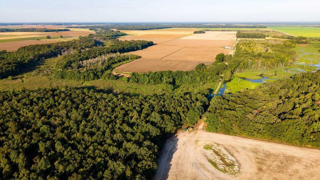 Land in Des Arc, Arkansas, United States 1 - 17842815