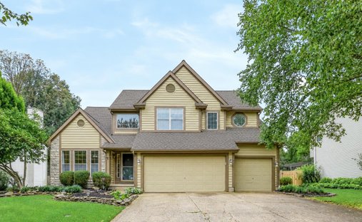 House in Lewis Center, Ohio, United States 1