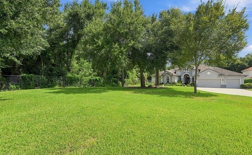House in Safety Harbor, Florida, United States 1