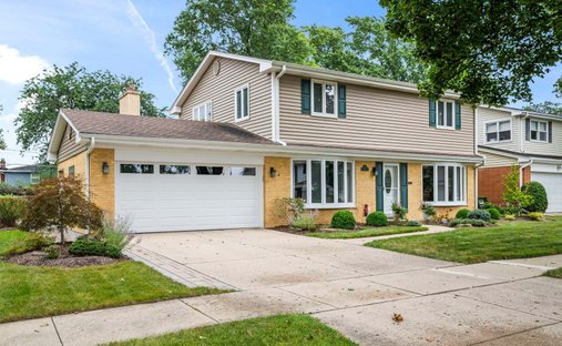 House in Prospect Heights, Illinois, United States 1