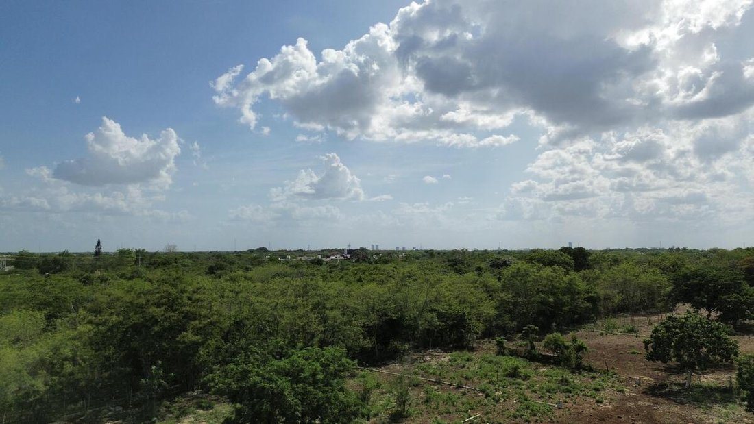 Terrain à Conkal, Yucatán, Mexique 5 - 18908453