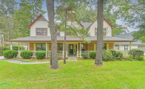 House in The Woodlands, Texas, United States 1