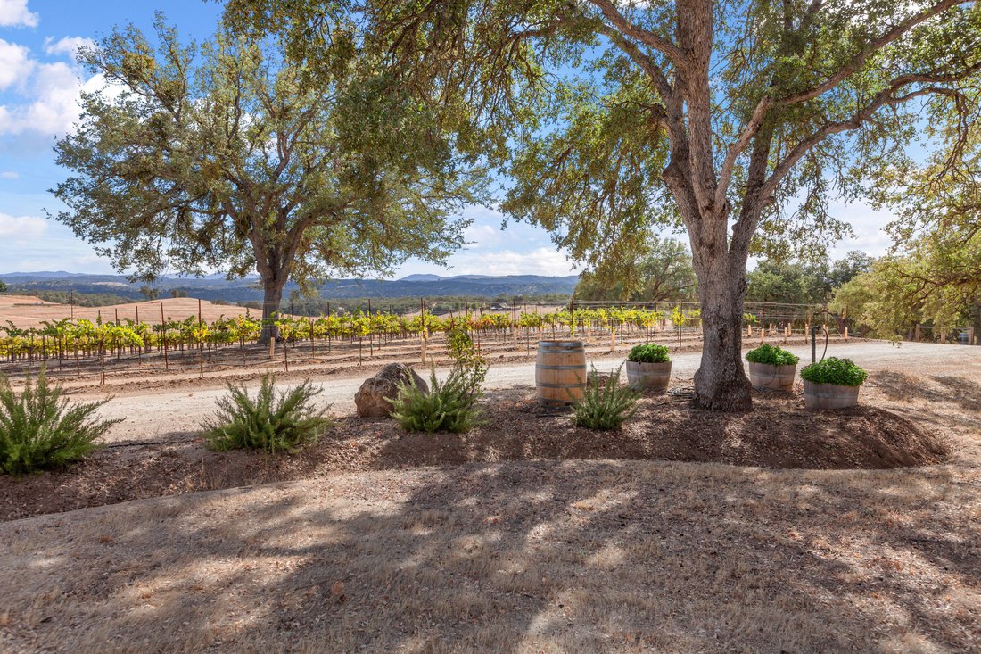 Bradley, California, United States 4 - 18921837