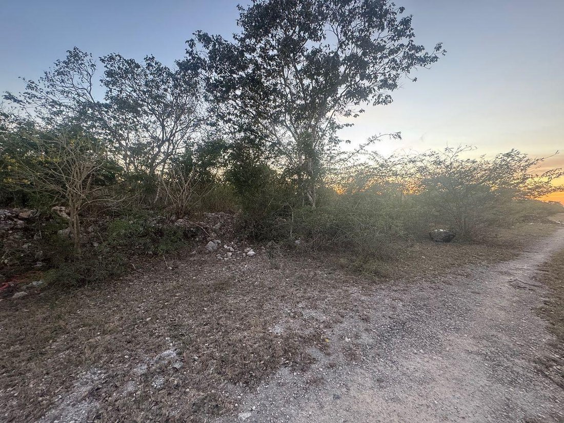 Land in Conkal, Yucatan, Mexico 3 - 18908431