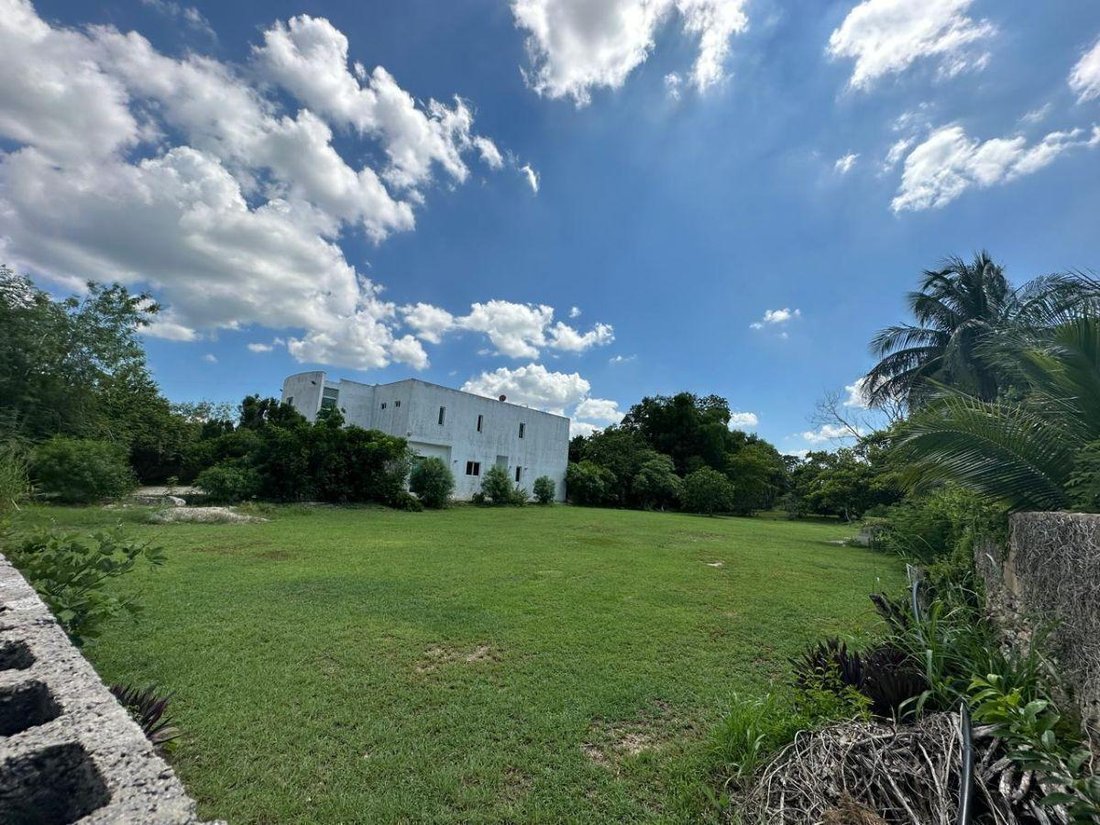 Land in Cholul, Yucatan, Mexico 2 - 18908423